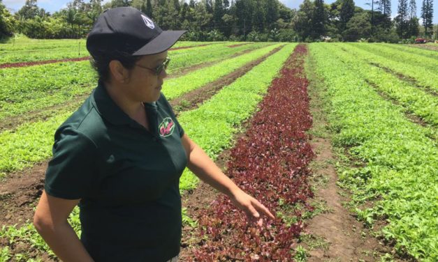 Know Your Farmers:  Aloha ‘Āina Organics, Ha‘ikū